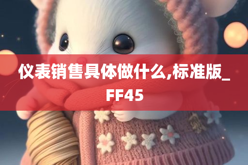 仪表销售具体做什么,标准版_FF45