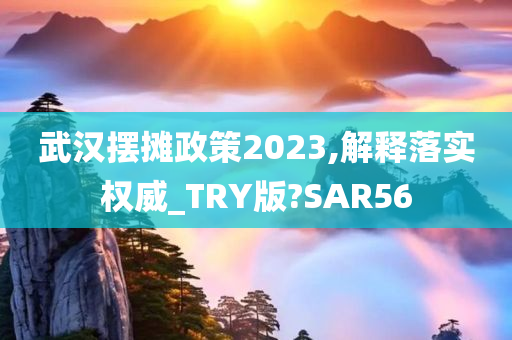 武汉摆摊政策2023,解释落实权威_TRY版?SAR56