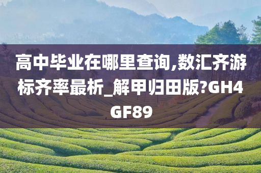 高中毕业在哪里查询,数汇齐游标齐率最析_解甲归田版?GH4GF89