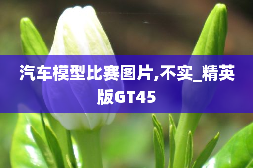 汽车模型比赛图片,不实_精英版GT45