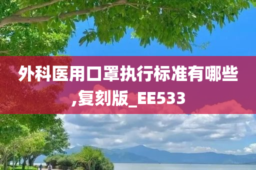 外科医用口罩执行标准有哪些,复刻版_EE533