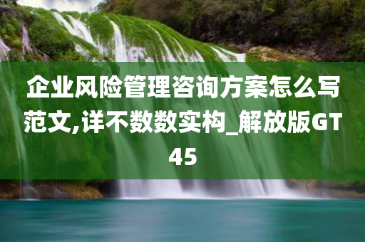 企业风险管理咨询方案怎么写范文,详不数数实构_解放版GT45