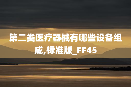 第二类医疗器械有哪些设备组成,标准版_FF45