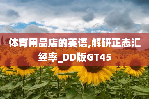 体育用品店的英语,解研正态汇经率_DD版GT45