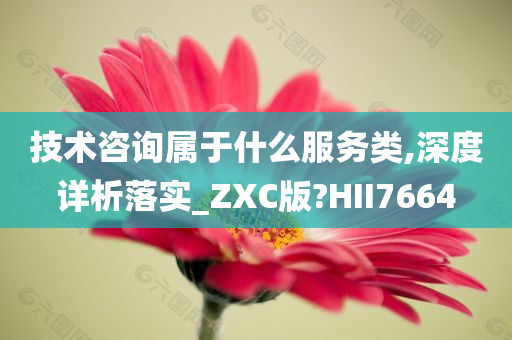 技术咨询属于什么服务类,深度详析落实_ZXC版?HII7664