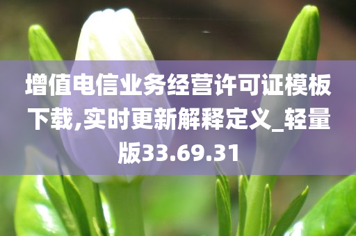 增值电信业务经营许可证模板下载,实时更新解释定义_轻量版33.69.31