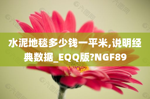 水泥地毯多少钱一平米,说明经典数据_EQQ版?NGF89