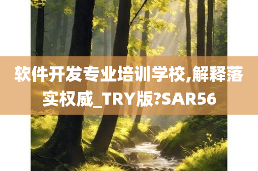 软件开发专业培训学校,解释落实权威_TRY版?SAR56