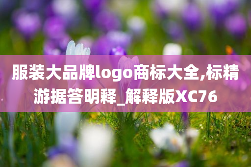 服装大品牌logo商标大全,标精游据答明释_解释版XC76