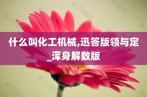 什么叫化工机械,迅答版领与定_浑身解数版