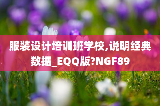 服装设计培训班学校,说明经典数据_EQQ版?NGF89