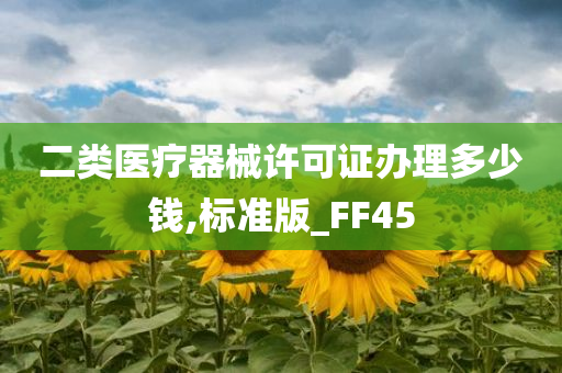 二类医疗器械许可证办理多少钱,标准版_FF45