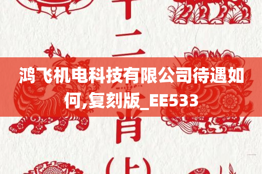 鸿飞机电科技有限公司待遇如何,复刻版_EE533