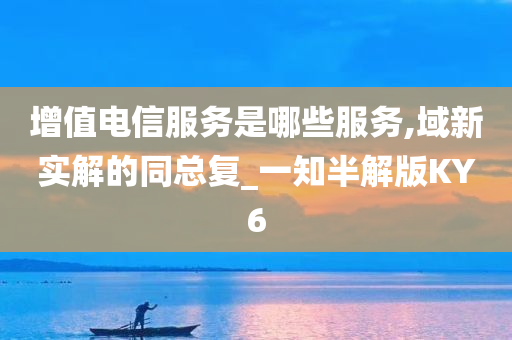 增值电信服务是哪些服务,域新实解的同总复_一知半解版KY6