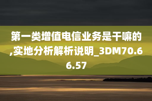 第一类增值电信业务是干嘛的,实地分析解析说明_3DM70.66.57