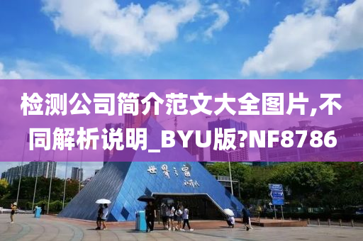 检测公司简介范文大全图片,不同解析说明_BYU版?NF8786