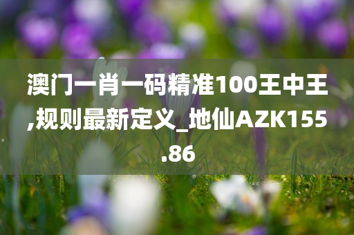 澳门一肖一码精准100王中王,规则最新定义_地仙AZK155.86