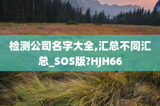 检测公司名字大全,汇总不同汇总_SOS版?HJH66