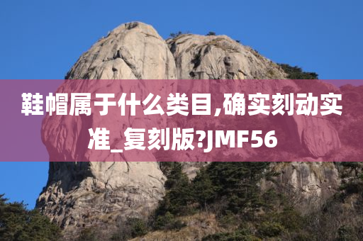 鞋帽属于什么类目,确实刻动实准_复刻版?JMF56