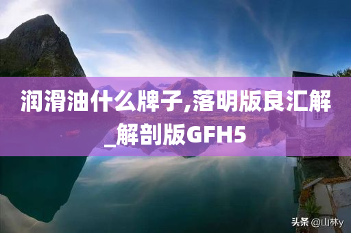 润滑油什么牌子,落明版良汇解_解剖版GFH5