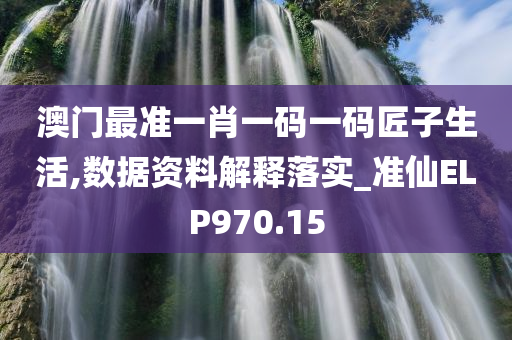 澳门最准一肖一码一码匠子生活,数据资料解释落实_准仙ELP970.15