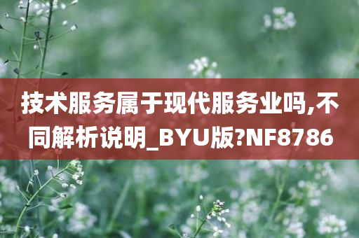 技术服务属于现代服务业吗,不同解析说明_BYU版?NF8786