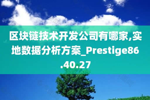 区块链技术开发公司有哪家,实地数据分析方案_Prestige86.40.27