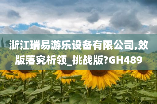 浙江瑞易游乐设备有限公司,效版落究析领_挑战版?GH489