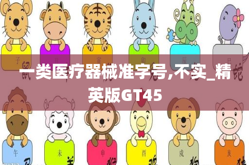 一类医疗器械准字号,不实_精英版GT45