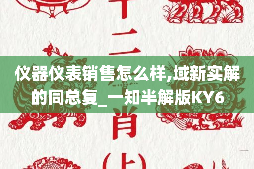 仪器仪表销售怎么样,域新实解的同总复_一知半解版KY6