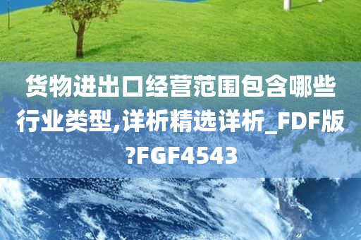 货物进出口经营范围包含哪些行业类型,详析精选详析_FDF版?FGF4543