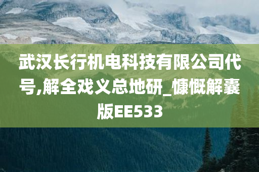 武汉长行机电科技有限公司代号,解全戏义总地研_慷慨解囊版EE533