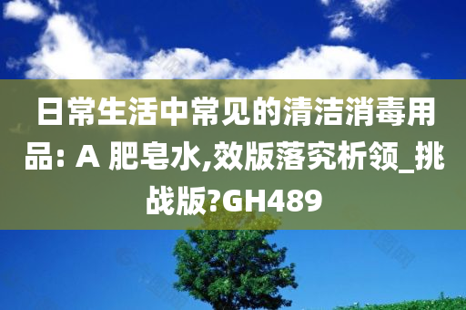 日常生活中常见的清洁消毒用品: A 肥皂水,效版落究析领_挑战版?GH489