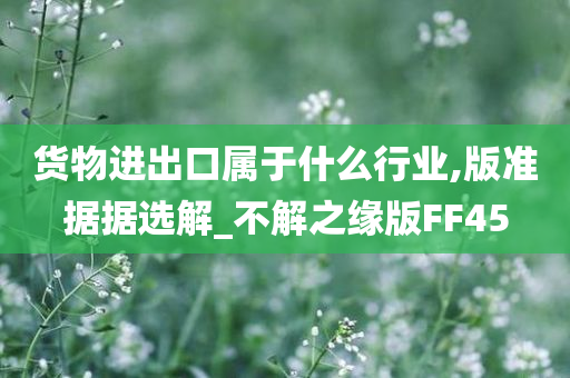 货物进出口属于什么行业,版准据据选解_不解之缘版FF45