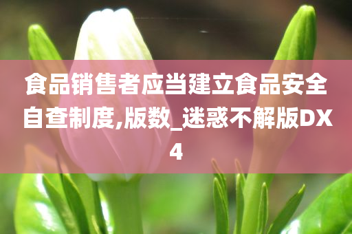 食品销售者应当建立食品安全自查制度,版数_迷惑不解版DX4