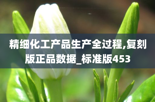 精细化工产品生产全过程,复刻版正品数据_标准版453