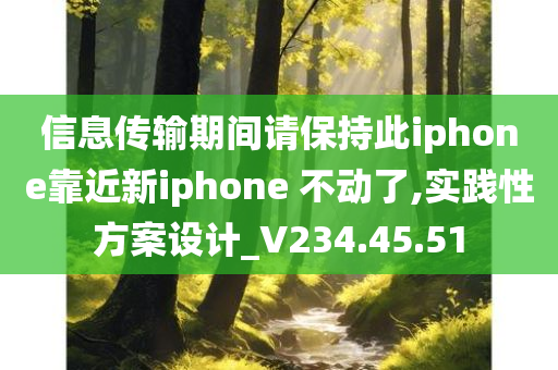 信息传输期间请保持此iphone靠近新iphone 不动了,实践性方案设计_V234.45.51