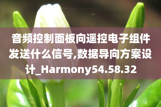 音频控制面板向遥控电子组件发送什么信号,数据导向方案设计_Harmony54.58.32