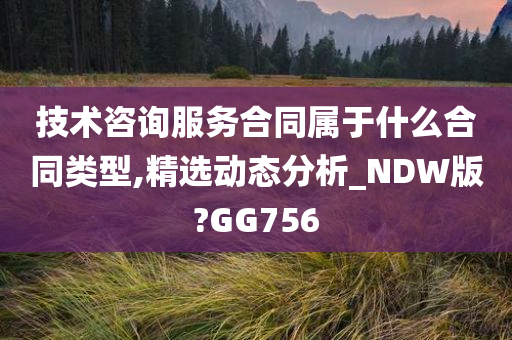 技术咨询服务合同属于什么合同类型,精选动态分析_NDW版?GG756