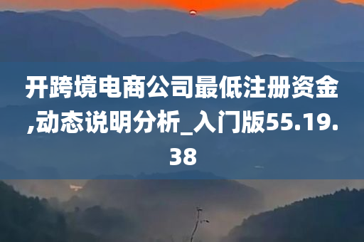 开跨境电商公司最低注册资金,动态说明分析_入门版55.19.38