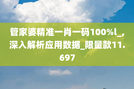 管家婆精准一肖一码100%l_,深入解析应用数据_限量款11.697