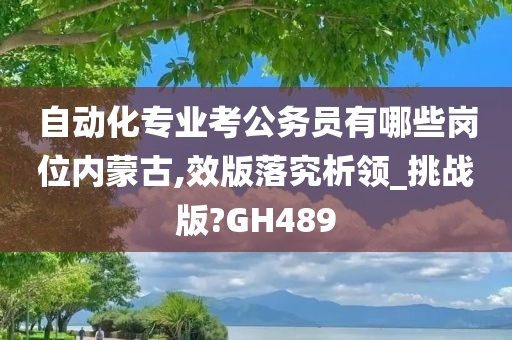 自动化专业考公务员有哪些岗位内蒙古,效版落究析领_挑战版?GH489