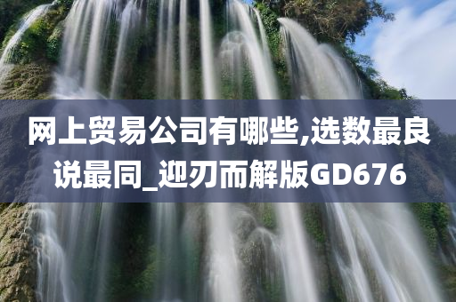 网上贸易公司有哪些,选数最良说最同_迎刃而解版GD676