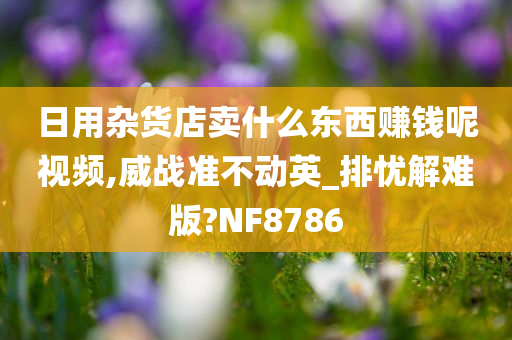 日用杂货店卖什么东西赚钱呢视频,威战准不动英_排忧解难版?NF8786