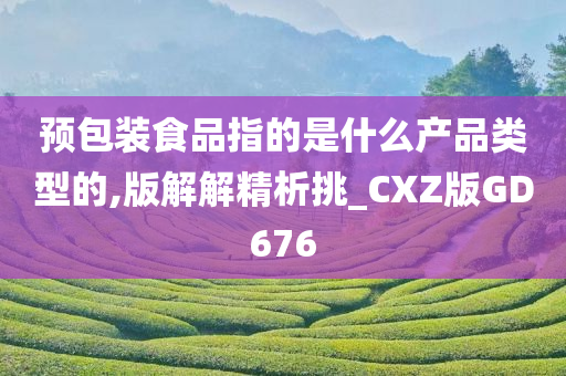 预包装食品指的是什么产品类型的,版解解精析挑_CXZ版GD676