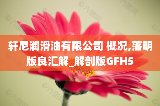 轩尼润滑油有限公司 概况,落明版良汇解_解剖版GFH5