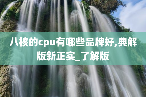 八核的cpu有哪些品牌好,典解版新正实_了解版