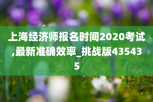 上海经济师报名时间2020考试,最新准确效率_挑战版435435