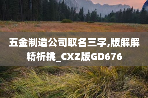 五金制造公司取名三字,版解解精析挑_CXZ版GD676