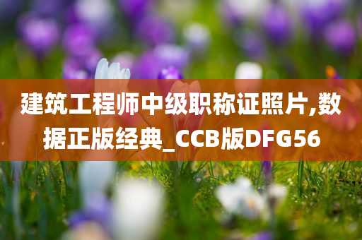 建筑工程师中级职称证照片,数据正版经典_CCB版DFG56